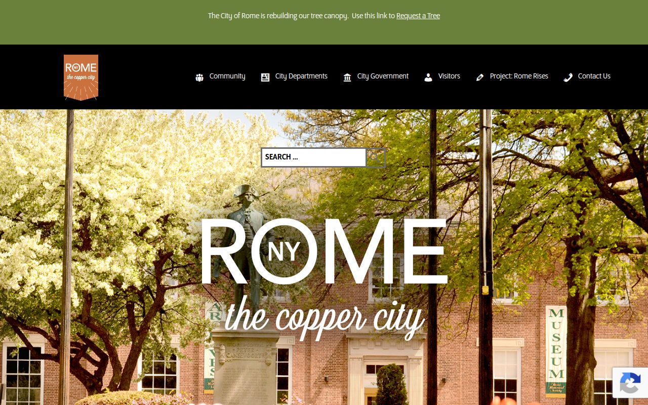Rome criminal history access through the City of Rome government